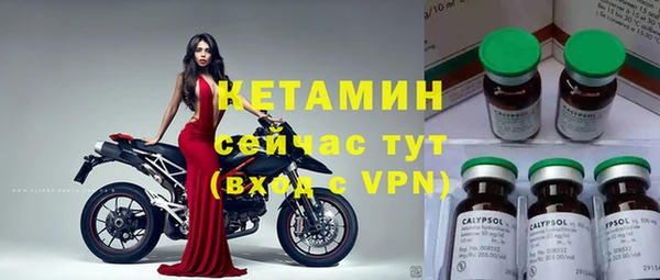трава Белокуриха