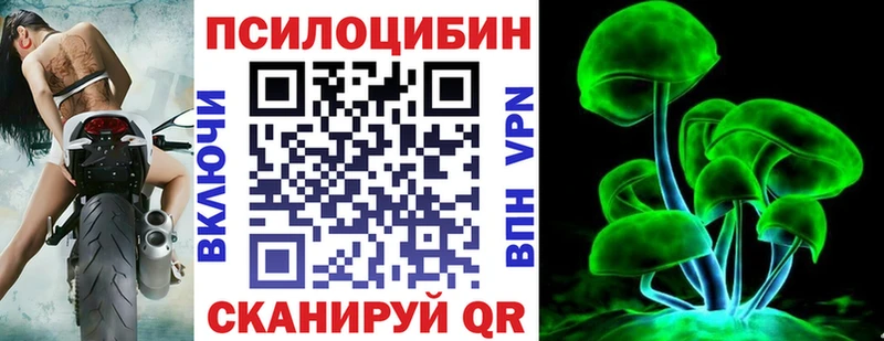 Галлюциногенные грибы мицелий  где купить   Черноголовка 